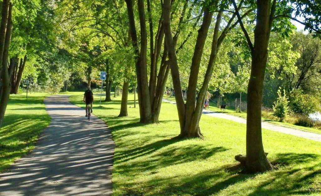 neighborhood 3