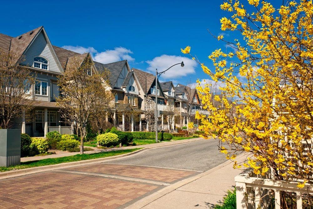 neighborhood 4
